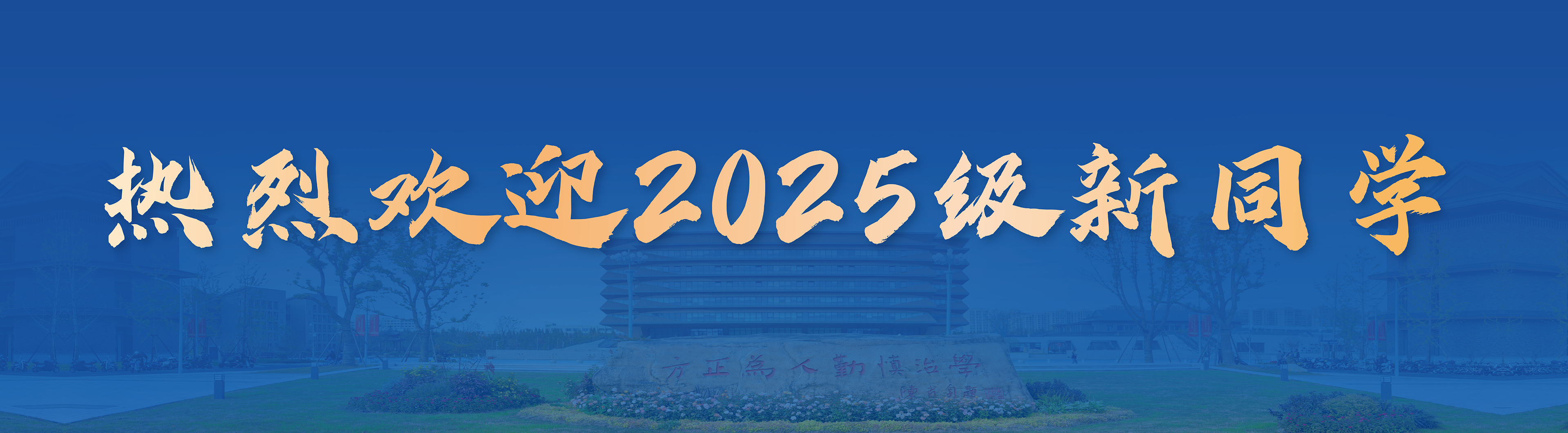 日韩十八禁在线1区2区3区不卡